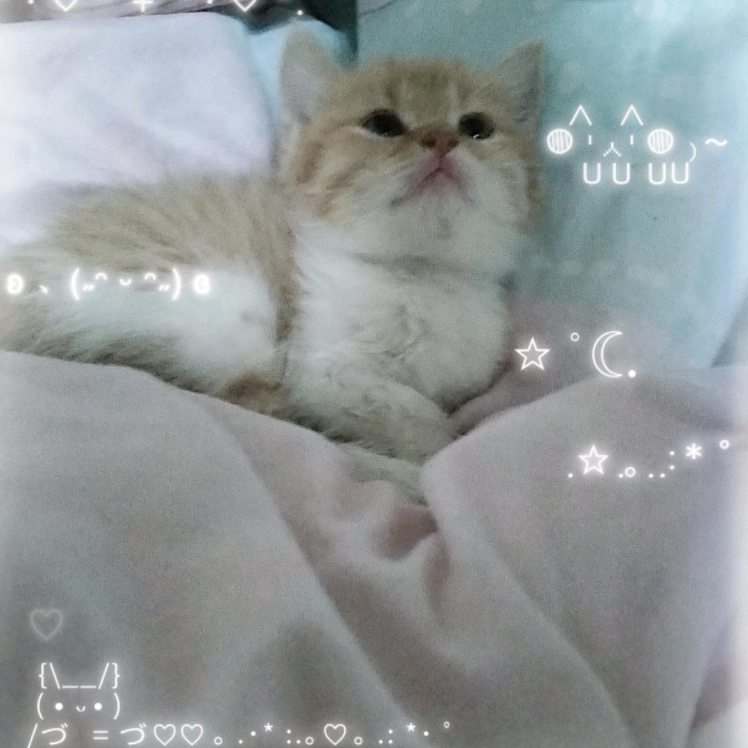 @糖果果