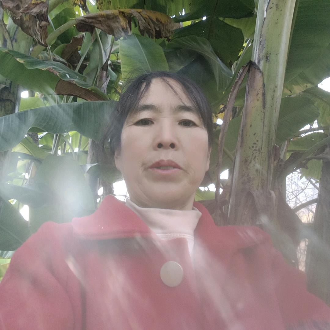 吴明祥A3199早上5点半开播