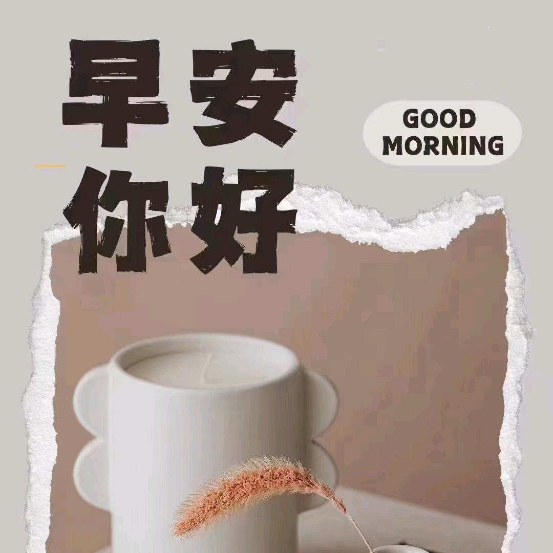 闪电风暴 草原小黄牛