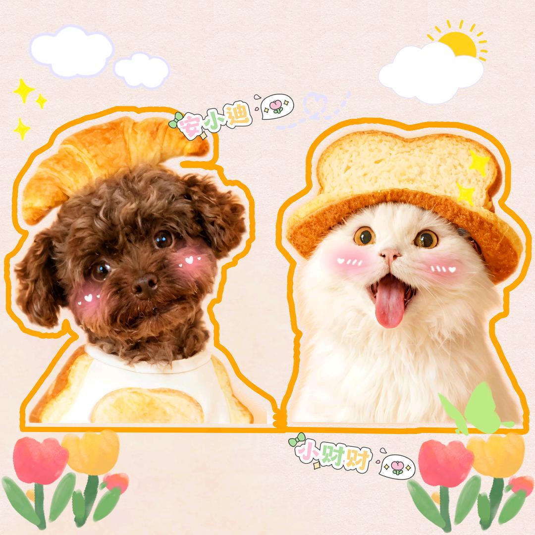 小鹿不乖了•̥́ ˍ •̀ू