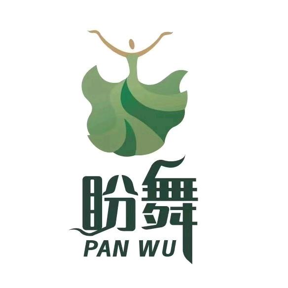 盼舞舞蹈