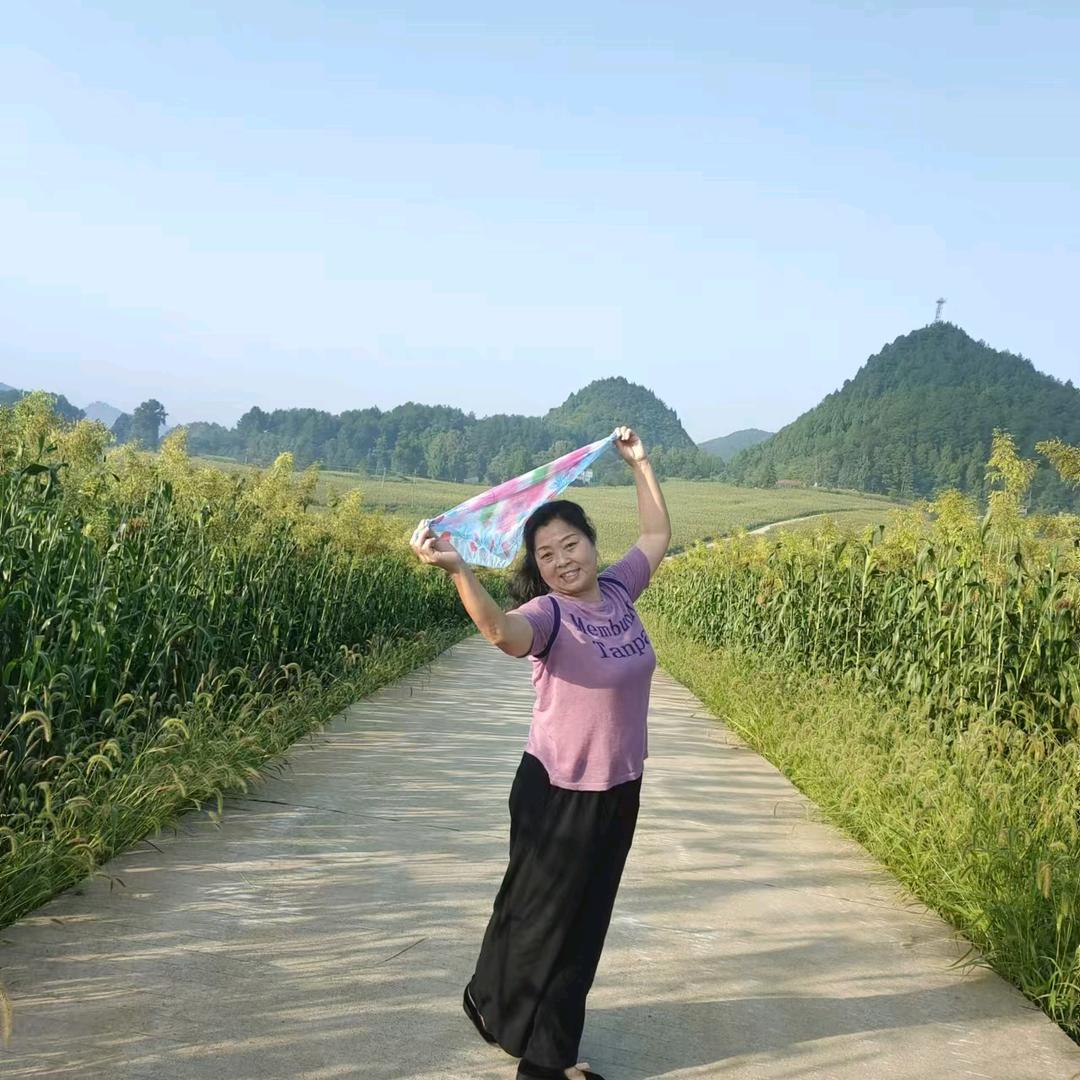 茶山情
