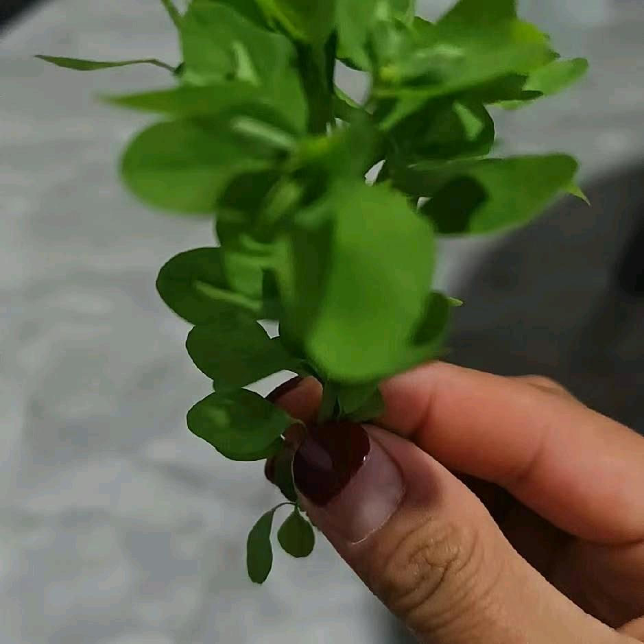 在也回不到从前