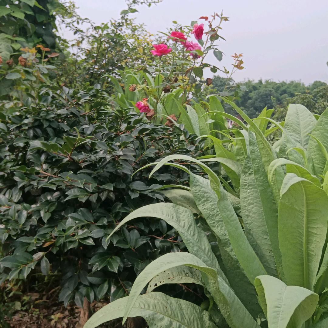 用户8422436144999家人，平安