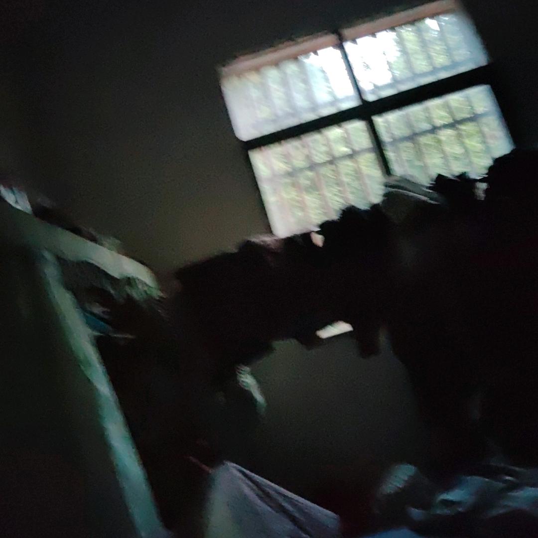 全家自游全家自游🇨🇳🚩🇬🇪🇲