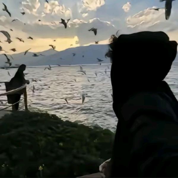 极品清冷大蟑螂