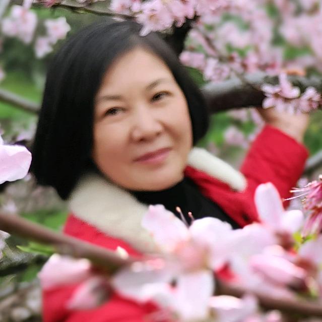 大姐姐🌺