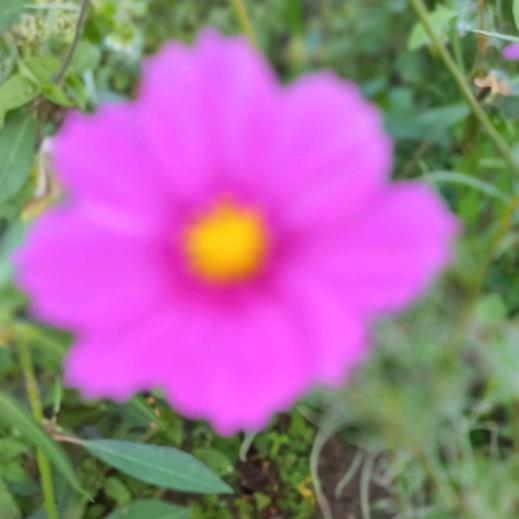 幸胡的有了你1989