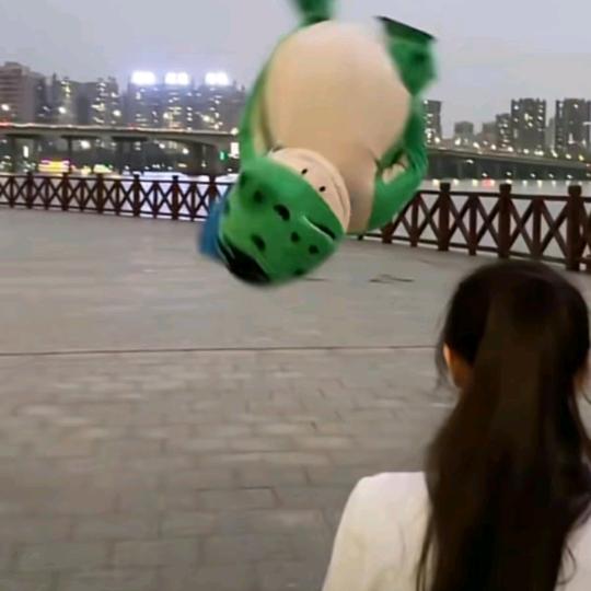 东风5C||收鹅毛鸭毛