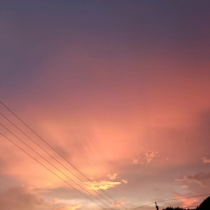 仙君仙女你来了