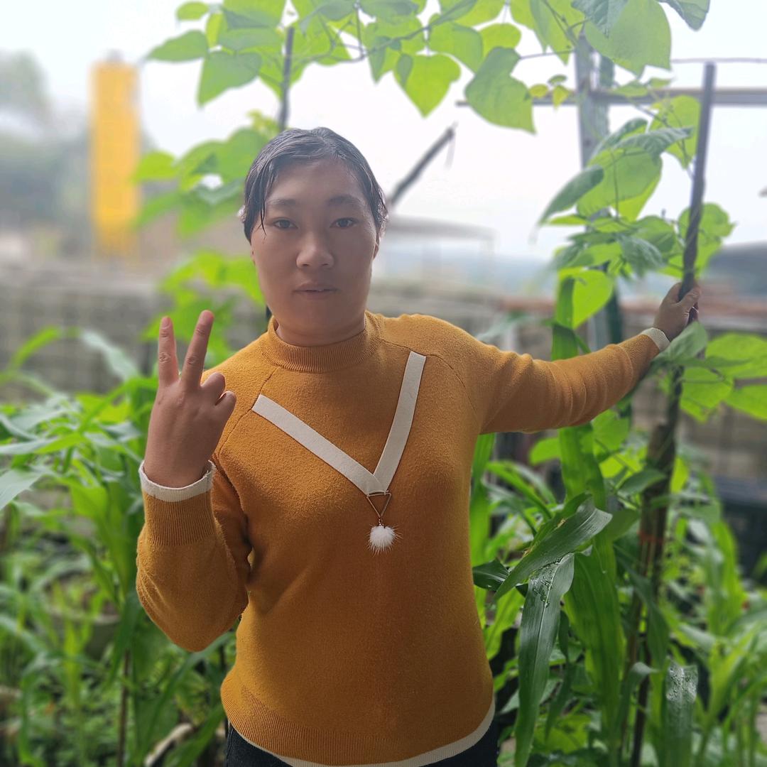 云南小雨
