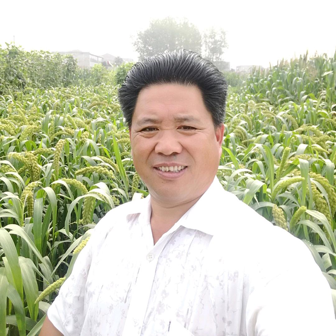 东方亮剑