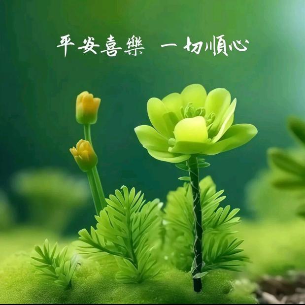 简单的姐