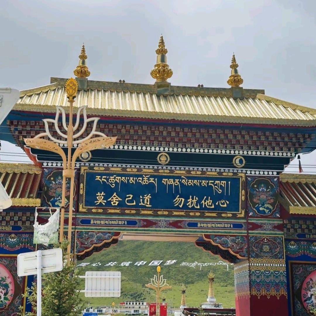 爱喝可乐的小周🙇