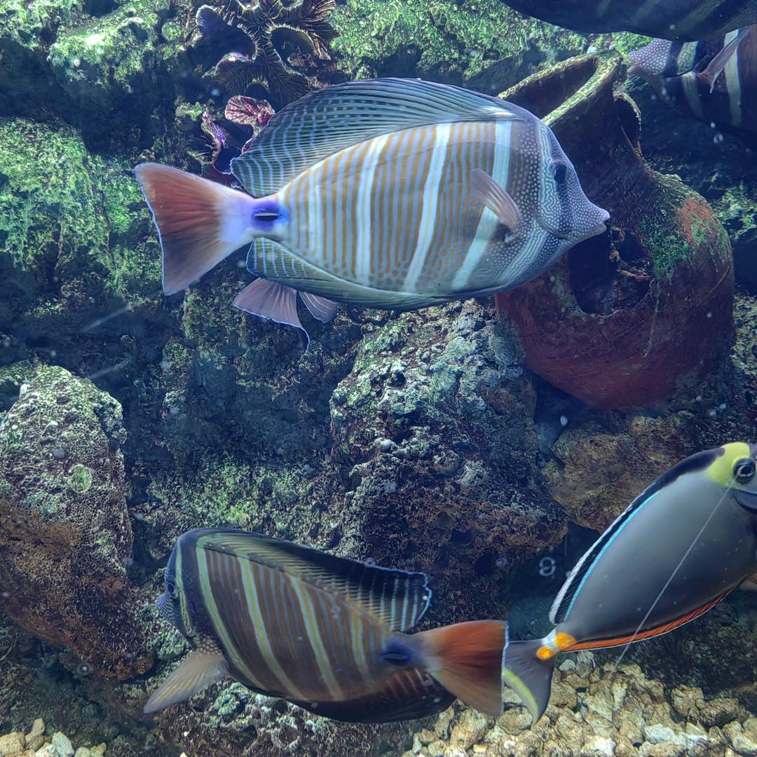 哥的霸气，无人能比