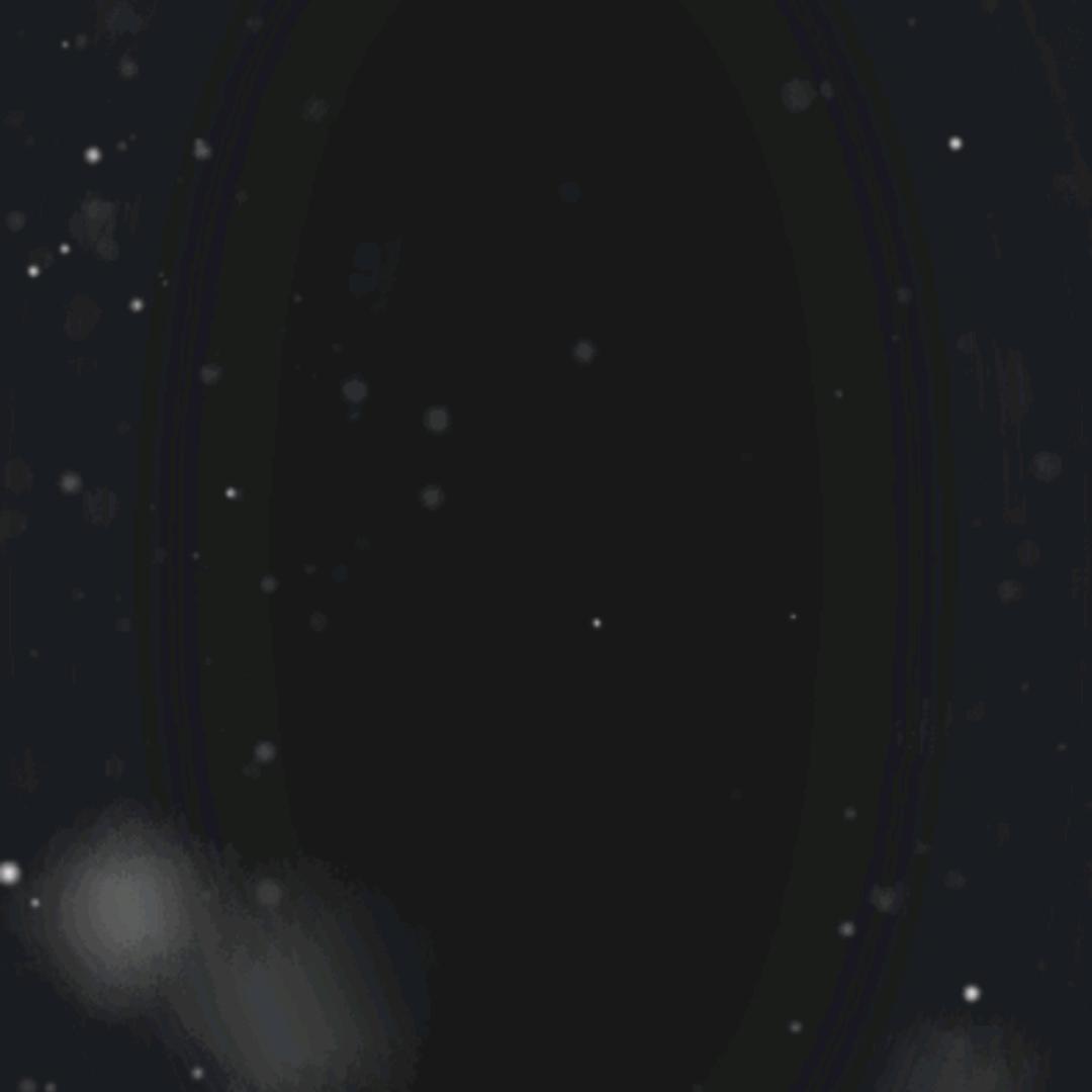 傅