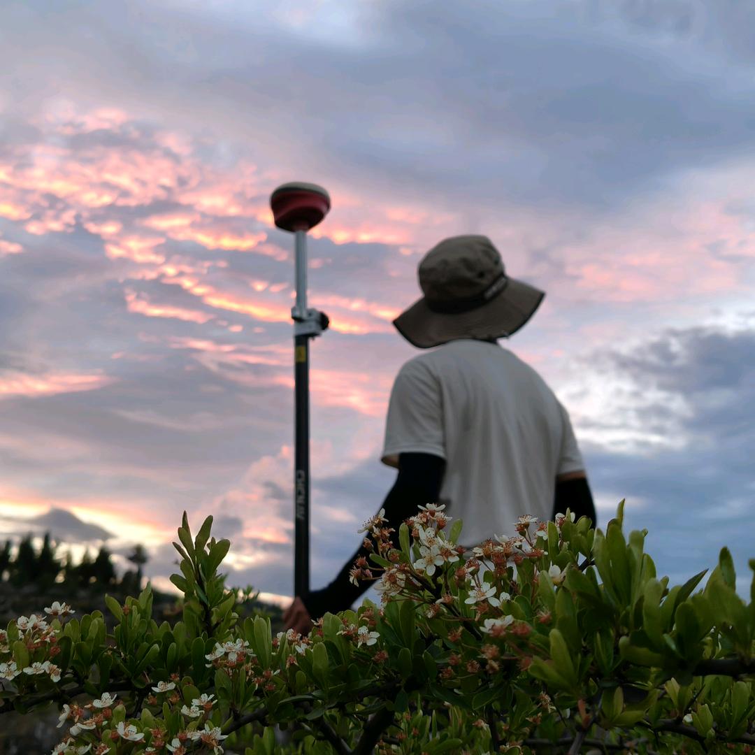小刘忙遛弯