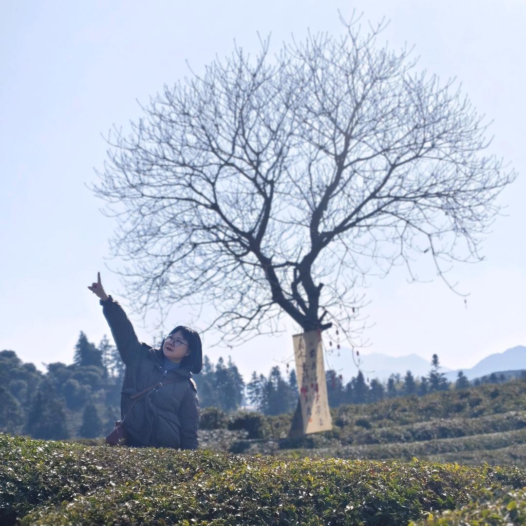 如梦 🌺(请勿连赞)