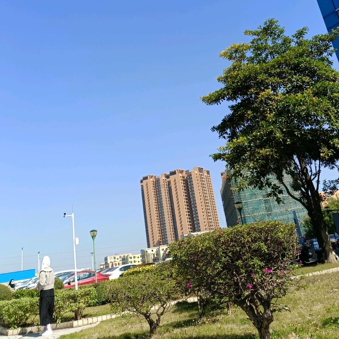 好物分享22