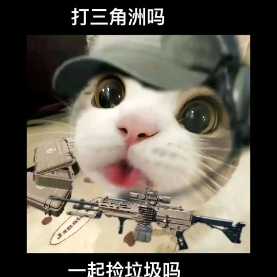 花生米（三角洲）