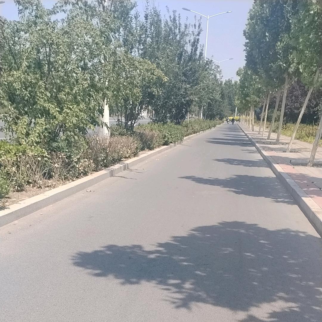 骄阳似火☀️☀️☀️