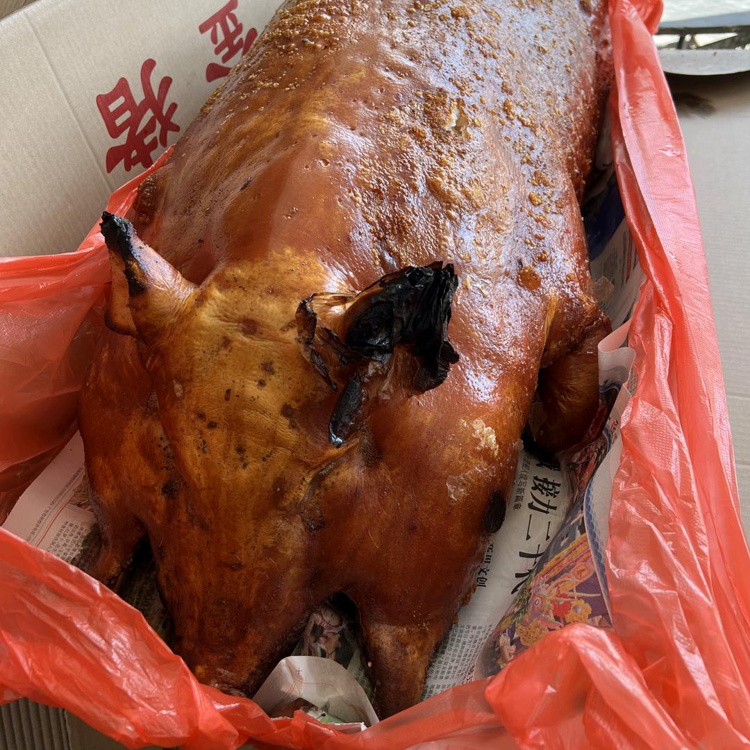 大鼻烧猪
