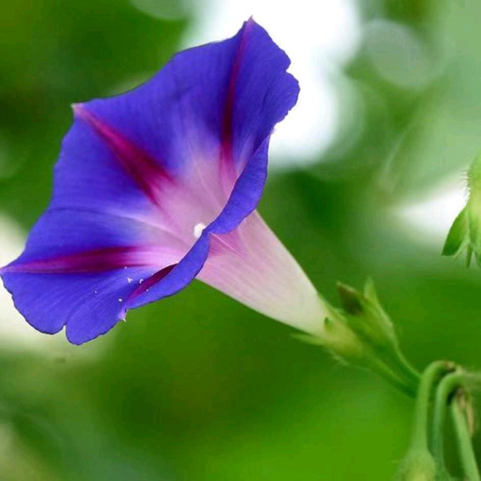 雪儿家政保洁服务