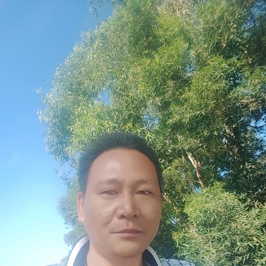 采药只是我的爱好！