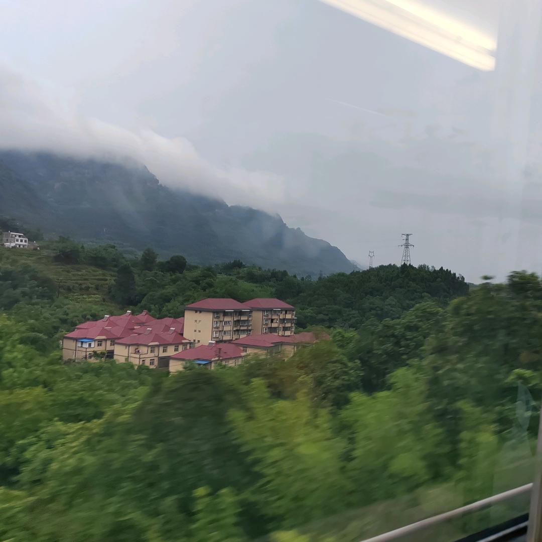 疲惫的鸟儿