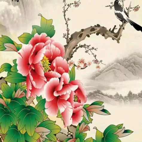 多彩人生