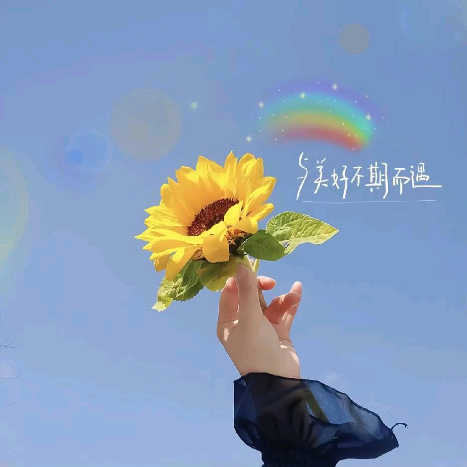 娃娃乐