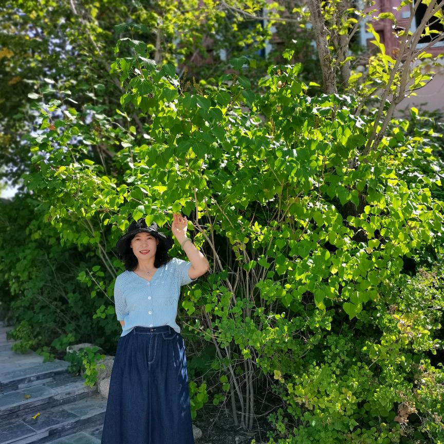 时光&慢悠悠🌻