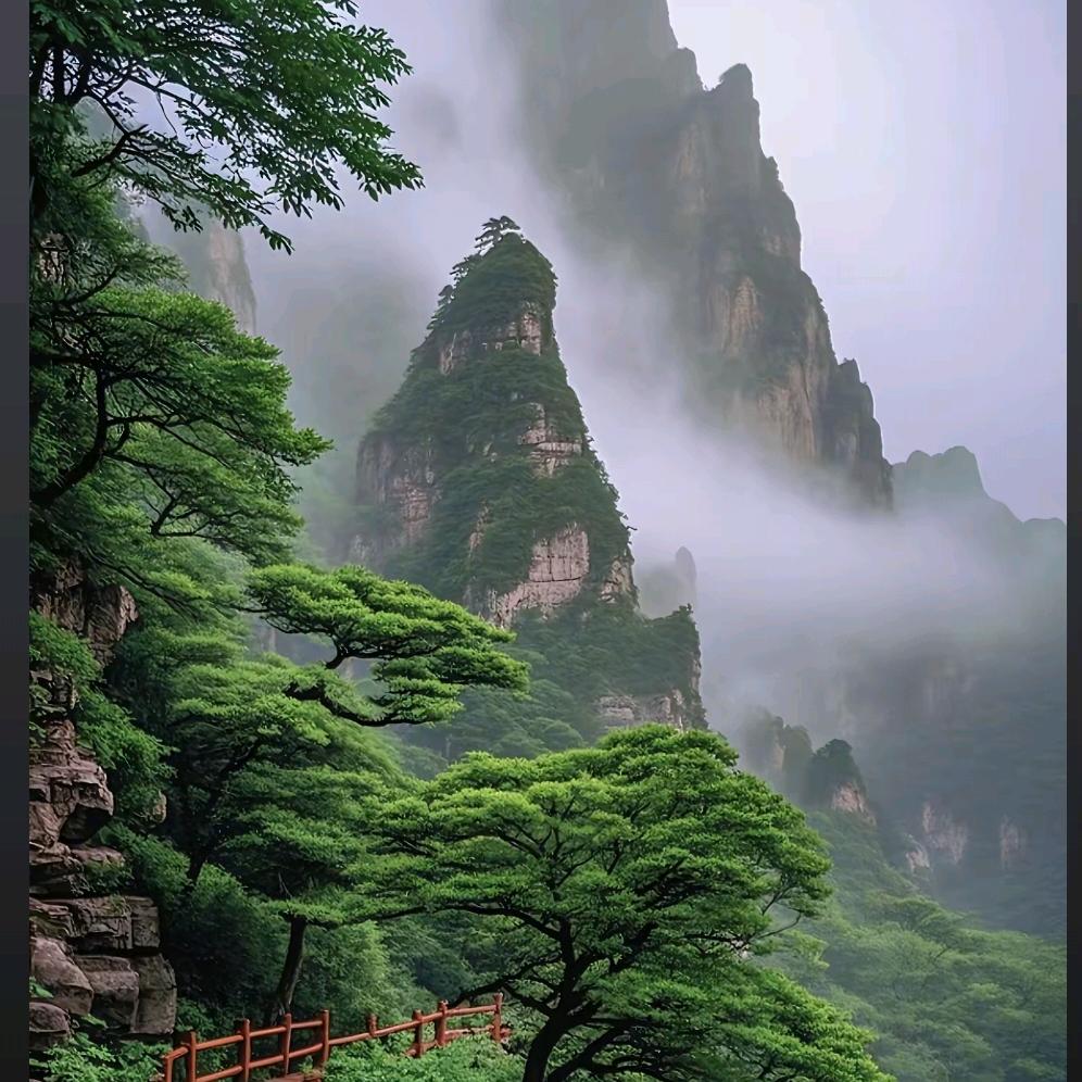 喜悦多多