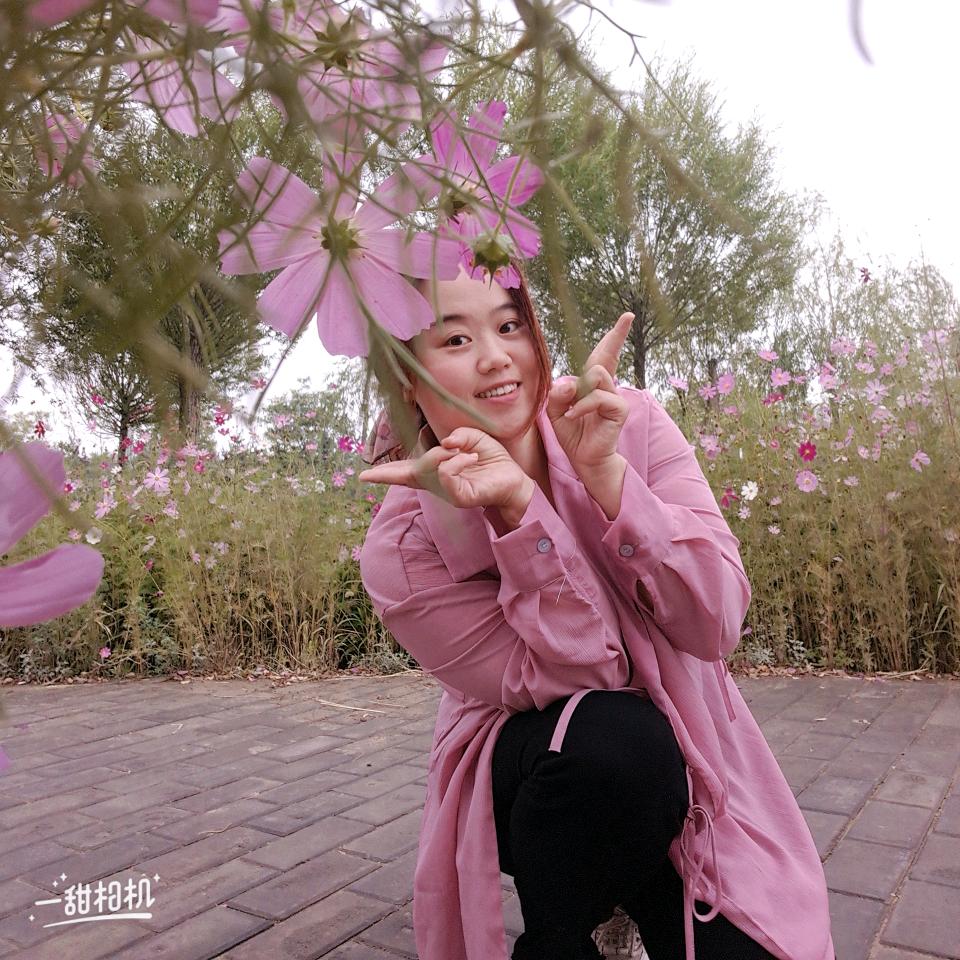 @盆盆