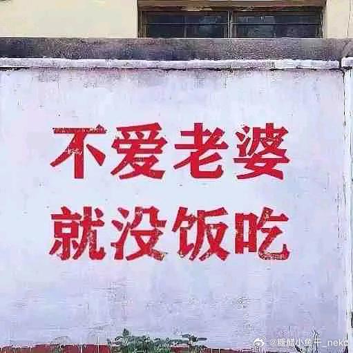 小猫iklnb