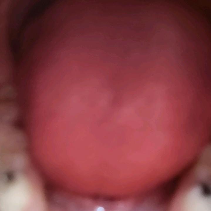 东东（已有龟）