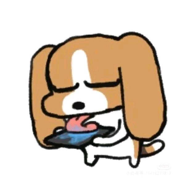 孜然蟑螂
