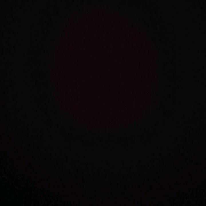 花落无声