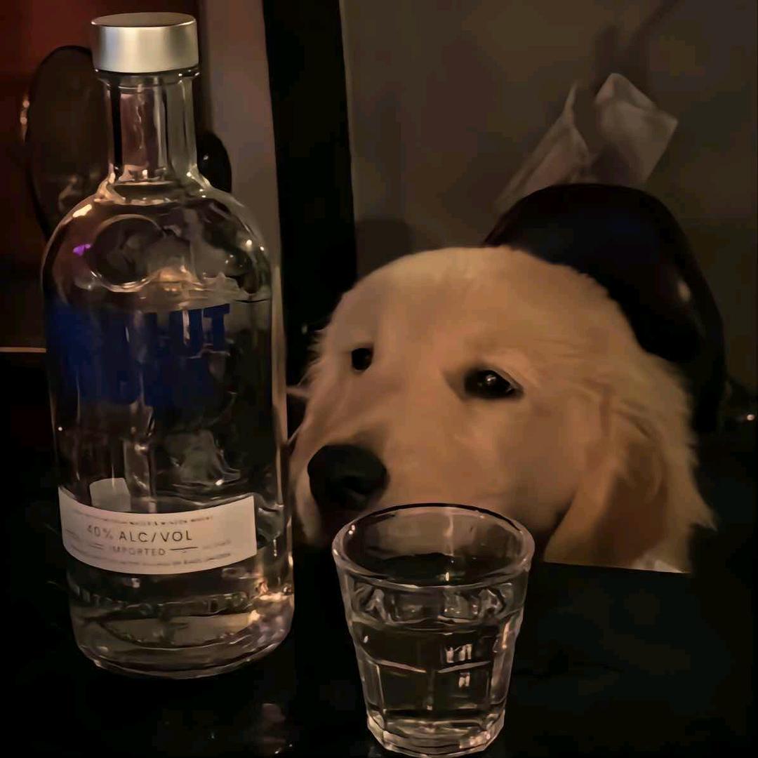 苏墨墨