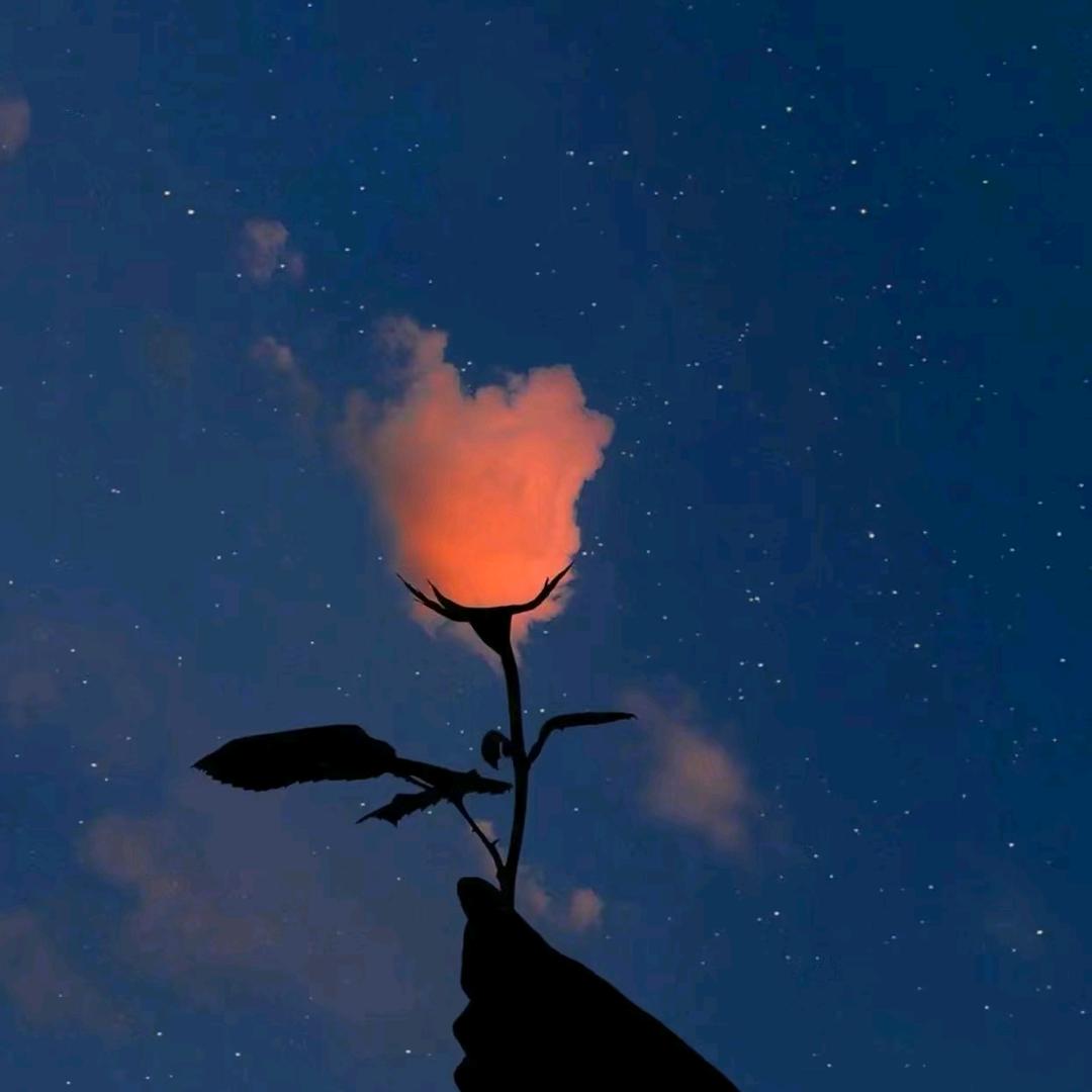 云淡风清的云