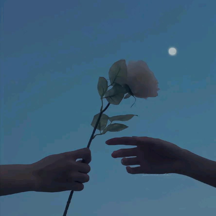 🥀⃟释᭄怀☆
