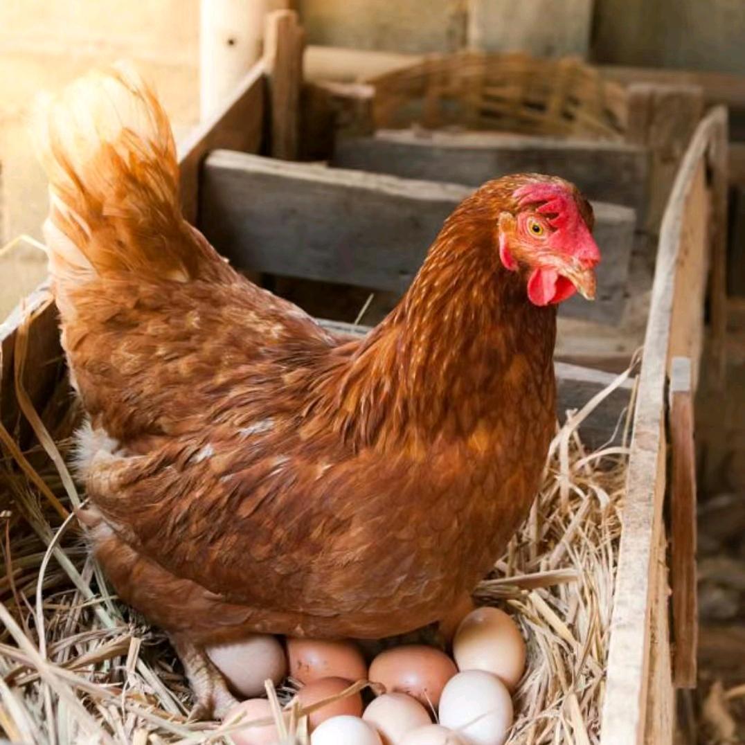 💕快乐一家💞