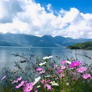 静沫暖阳