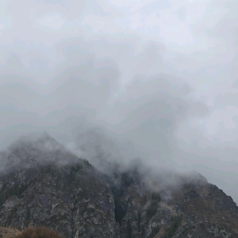 🐉🐉🐉🐉🐉🐉🐉🐉🐉🐉