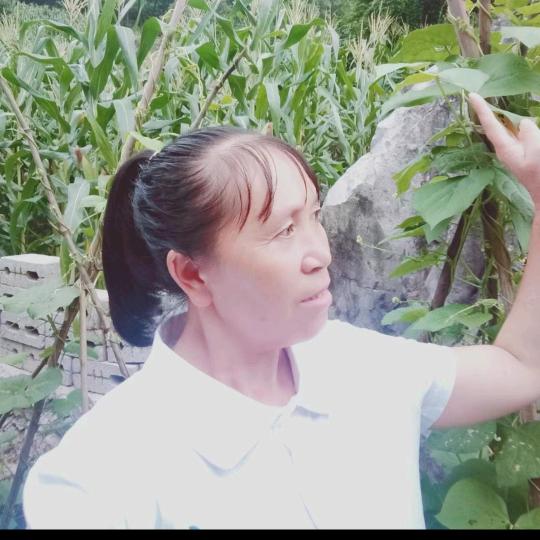 韦姐(不定时开播）