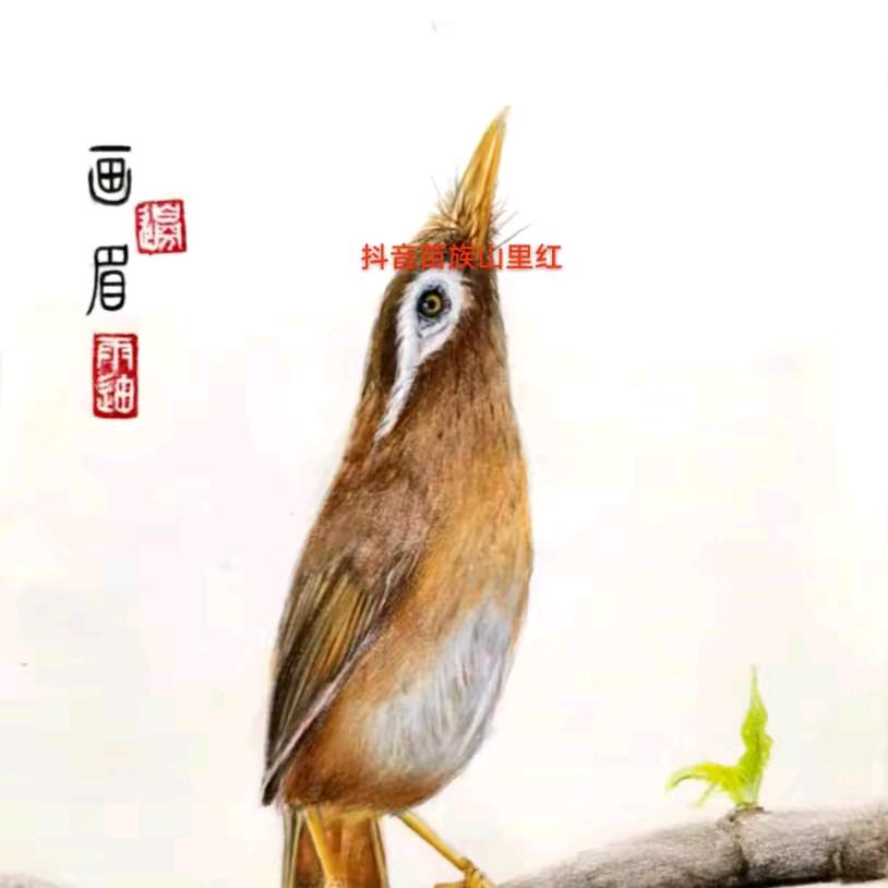 《王兄鸟食》雀中鸿