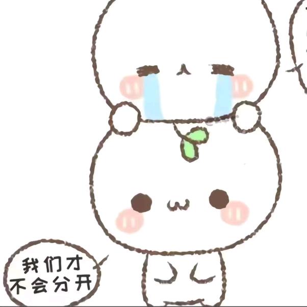 卷心菜大王