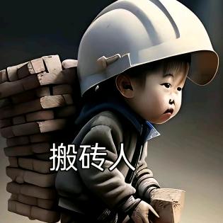 :聪明的傻瓜: