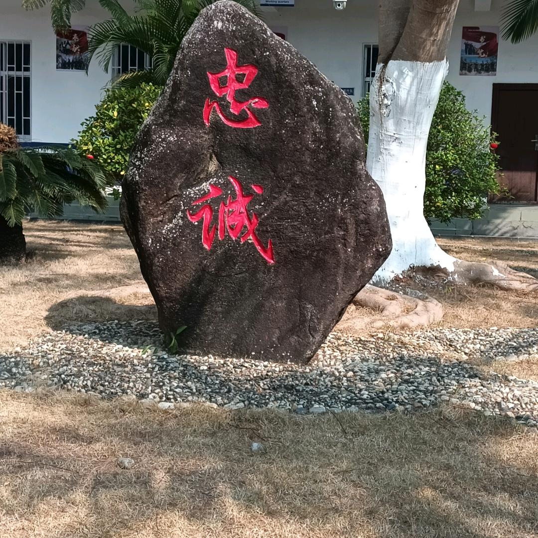 黑仔