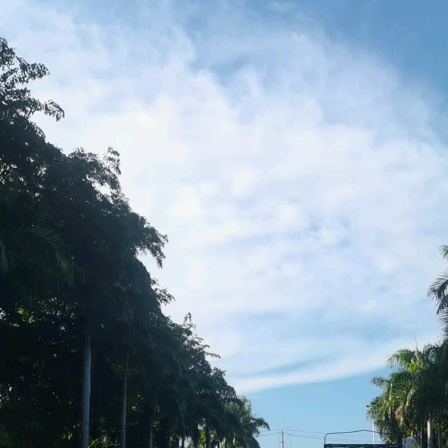 锦鲲海黄